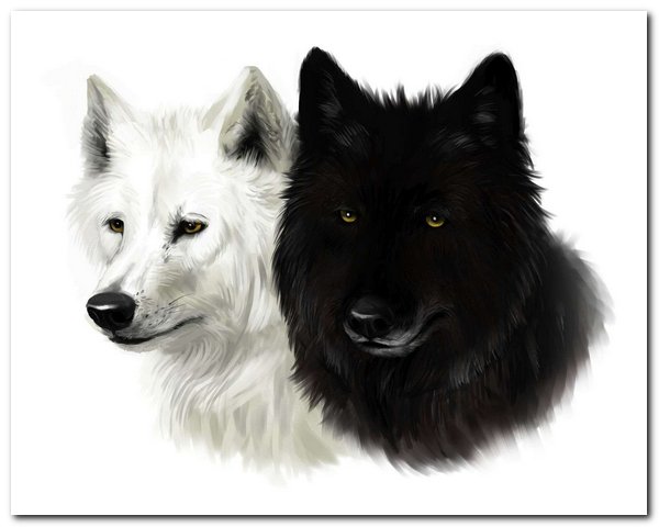 добро и зло, белый и темный волк